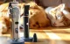 Oneisall RFC-676 + P20 Pet Grooming Kit