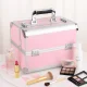 Cosmetic Case CA34C, Silver-Pink