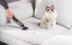 Cordless Car Vacuum Cleaner Fanttik V8 Apex 19000Pa Black