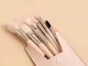 Professional 8-Piece Makeup Brush Set with Cosmetic Case