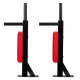 Wall-Mounted Pull-Up & Dip Bar, Neo-Sport NS-318