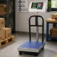 Platform Warehouse Scale 30x40 cm with Backrest, 100 kg / 20 g