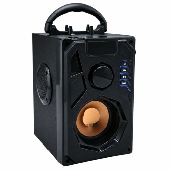 Portable Bluetooth Speaker with FM Radio Remote and Karaoke Mic Input, Black