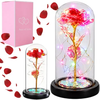 Eternal Rose in Glass Dome with RGB LED Lighting