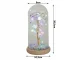 Eternal Rose in Glass Dome with LED Lighting
