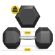 4Fizjo HEX Steel Dumbbell with Rubber Coating, 25 kg, Black