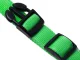 LED Glowing Collar for Dogs and Cats, Adjustable 36-59 cm, Green