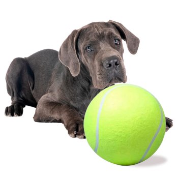 Giant XXL Tennis Ball Dog Toy 24cm