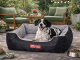 Plush Velour Dog Bed Sofa for Medium Dogs, Comfortable Pet Lounger with Washable Cover