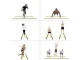 Coordination Training Agility Ladder, 6m
