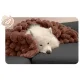 Heated Electric Blanket Berdsen BD-963, 180 x 160 cm