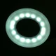 Activeshop Ring LED Snake Desk Lamp with Adjustable Light, White