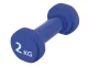 4Fizjo Classic Cast Iron Dumbbells with Vinyl Coating, 2 x 2 kg, Blue