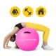 4FIZJO Air Barrel Inflatable Gymnastics Roller 60 cm, pink
