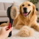 Double-Sided Brush for Dog and Cat Hair