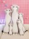 Плюшевая мягкая игрушка, подушка обнимашка, Кот Батон, 110см | Plush...