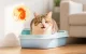Petkit Urine Monitor Plant-Based Clumping Cat Litter with pH Health Indicator, 2.4 kg