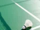Badminton Feather Shuttlecocks 3-Pack Durable Training Set, White