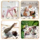 Nukido NK-342 Educational Double-sided Kids Roll-up Foam Mat