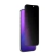 AmazingThing Radix Privacy Tempered Glass for iPhone 17 Pro Max