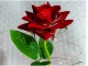 Eternal Rose in Glass Dome with LED RGB Light (Two Roses), Red