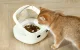 Petoneer NutriCare Smart RFID Pet Feeder with Cooling Bowl PF009