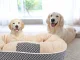 Soft Plush Pet Bed for Dogs and Cats, 60x50 cm