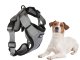 Pressure-Free Dog Harness with Leash, Size L