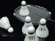 Badminton Feather Shuttlecocks 3-Pack Durable Training Set, White