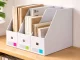 Sticky Index Tabs and Page Markers for Books, Multicolor
