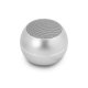 Портативная колонка Guess GUWSALGEG Mini Bluetooth Серая
