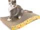 Cardboard Wave Cat Scratching Post with Catnip