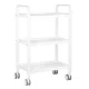 Cosmetic Trolley HS-09 White