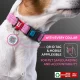 Waudog Classic Dog collar with QR code size L, Pink