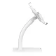 Maclean MC-468W Tablet Desk Stand with Lock, 7.9\"-11\", White