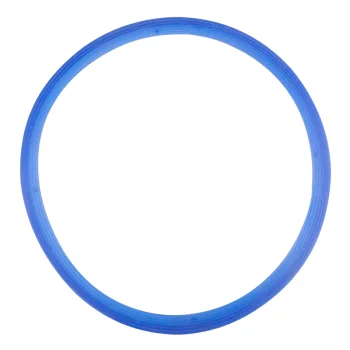 Woson Silicone Gasket for 12 L Autoclaves, Grey