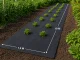DIVODV Black Weed Control Fabric, 50 g/m², 1.5 x 10 m