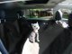 Car Seat Cover Carpet for Dogs, Black