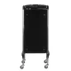 Gabbiano FX11-2 Hairdressing Trolley, Black