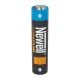 Newell AAA USB-C 500 mAh Rechargeable Batteries (2 pcs)