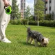 Retractable Dog and Cat Leash with Lock 5m (up to 15kg)
