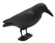 Plastic Raven Bird Repellent 38cm