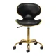 Gabbiano Q-4599G Beauty Stool with Backrest, Black