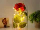 Eternal Rose in Glass Dome with LED Lights, Enchanted Forever Rose Gift for Her, Red