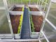 Raised Garden Bed Klasika Garden 1500x750x300mm, Zinc