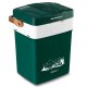 Berdsen Icemax 3826 Portable Car Refrigerator, 29L, Eco Mode, Green