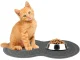 Waterproof Non-Slip Bowl Mat for Dogs and Cats (26 x 46 cm)