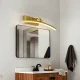 LED Vanity Mirror Light Wall Lamp 60 cm 7W Adjustable, Gold