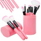 Professional 12-Piece Makeup Brush Set with Case, Pink