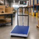 Platform Warehouse Scale 30x40 cm with Backrest, 100 kg / 20 g